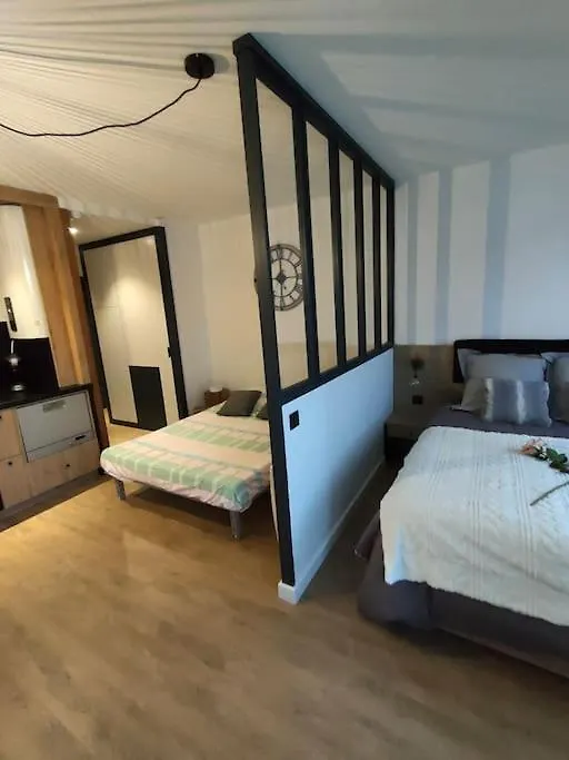Apartment Magnifique 3 Etoiles En Hyper Centre Avec Place Privee Aix-les-Bains France